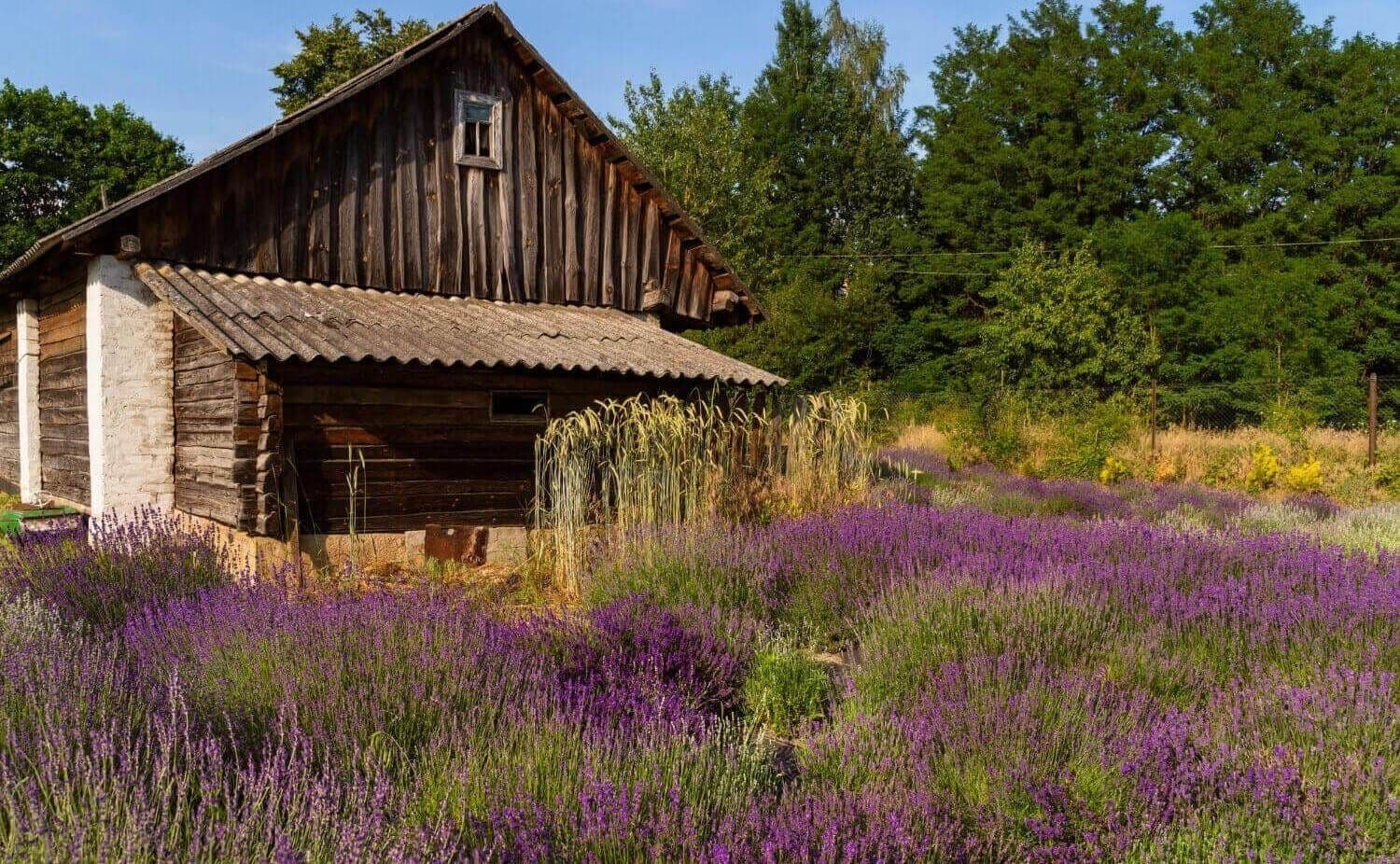 Osada Sławutowo we Władysławowie - historia i ciekawostki